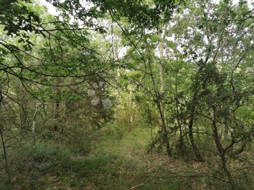 Thumbnail 5365116 - 3