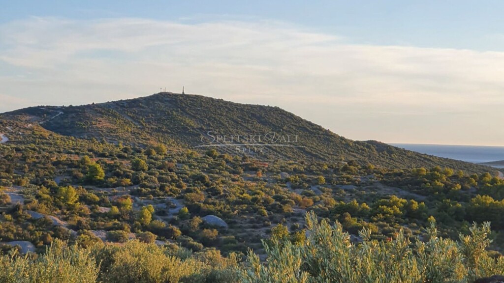 Image 5367961 - 7