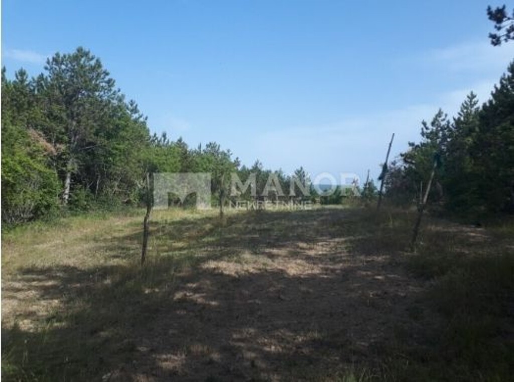Image 5368503 - 1