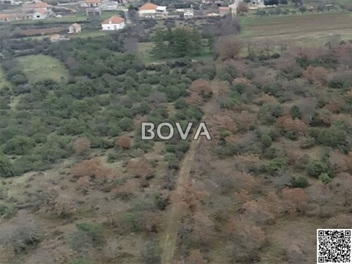 Građevinsko zemljište 3261 m2 – Briševo *Uz javnu prometnicu* (ID-2343)