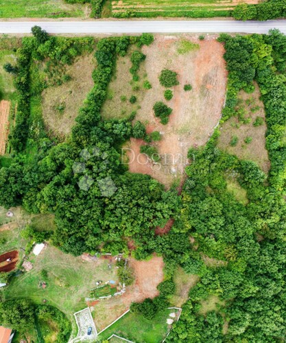 Thumbnail 5368854 - 3