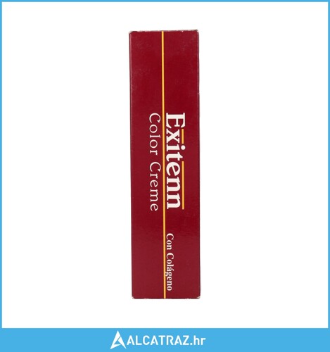 Trajna Boja Exitenn Creme Nº 100.4 60 ml - NOVO