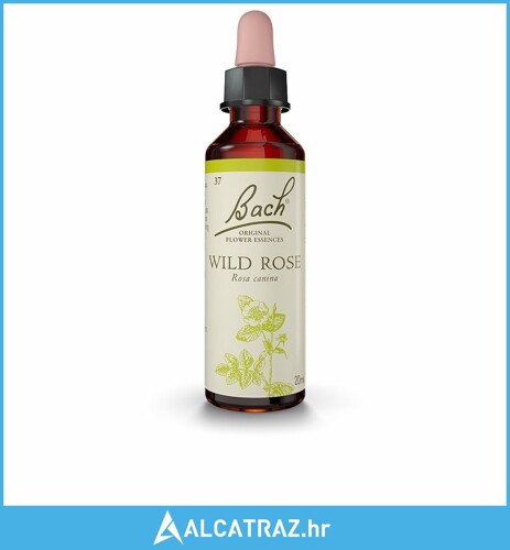 Dodatak Prehrani Bach Wild Rose 20 ml - NOVO