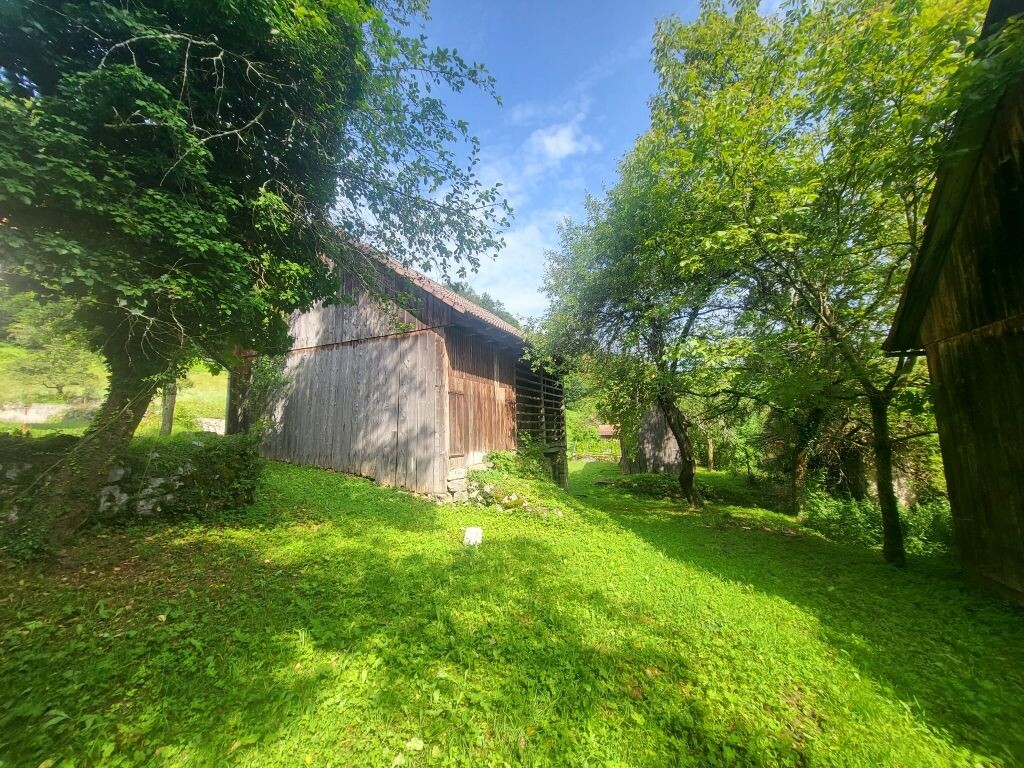 Image 5380700 - 8