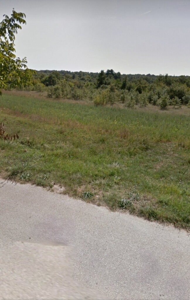 Image 5381053 - 2