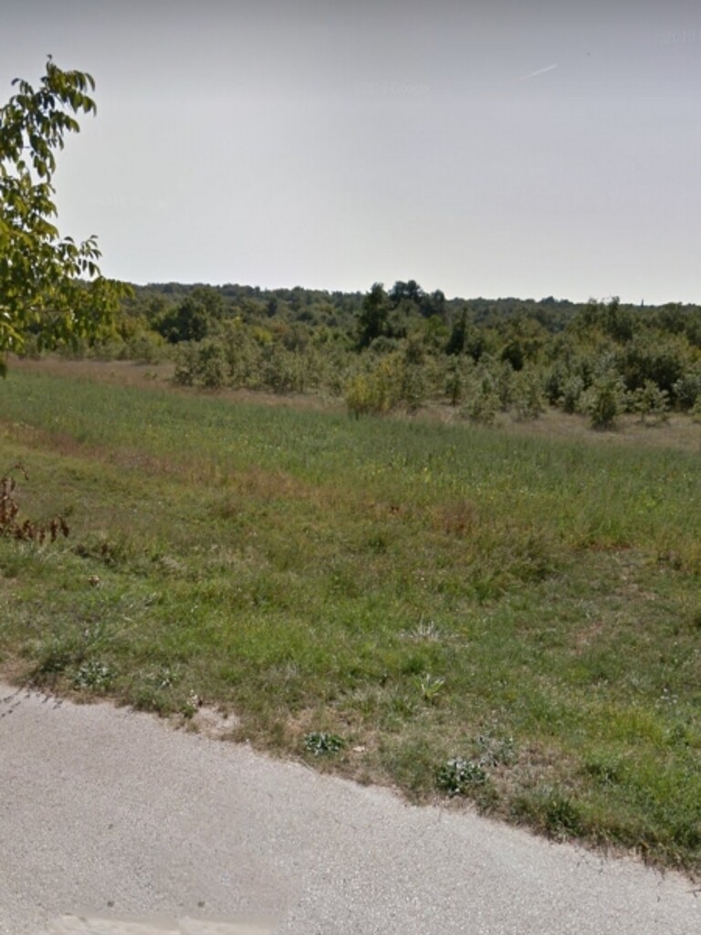 Image 5381053 - 4