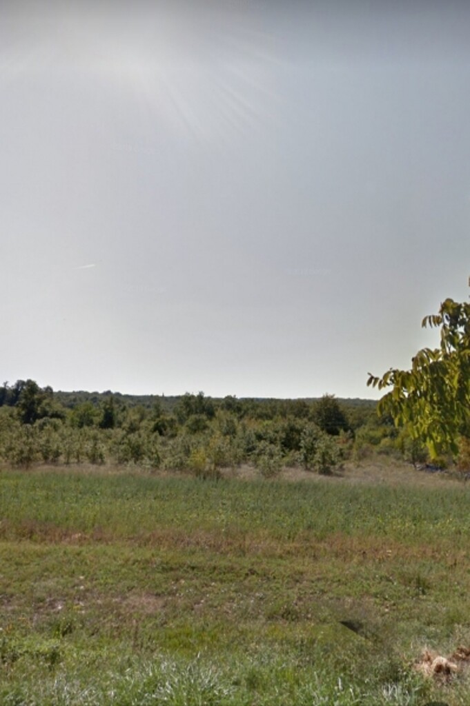 Image 5381053 - 1