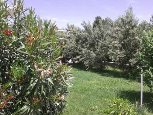 Thumbnail 5381088 - 5