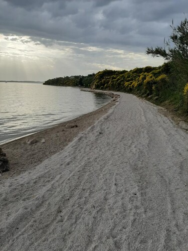 Thumbnail 5381551 - 7