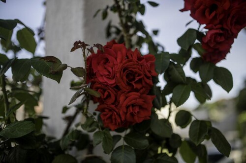 Thumbnail 5381678 - 10