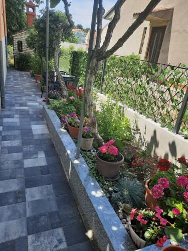 Thumbnail 5381683 - 4