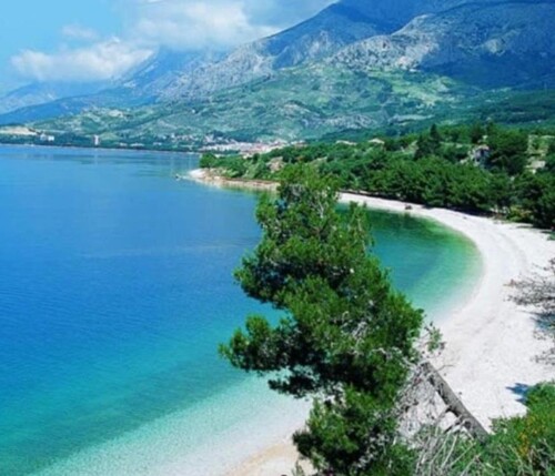 Thumbnail 5381710 - 11