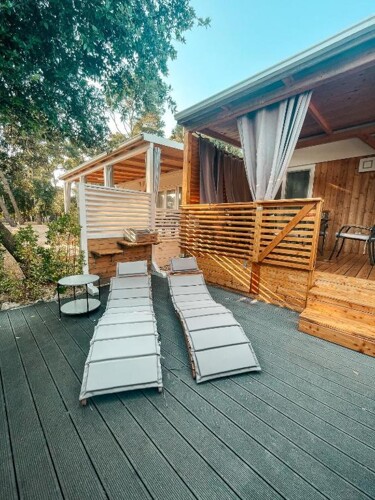 Thumbnail 5381949 - 1