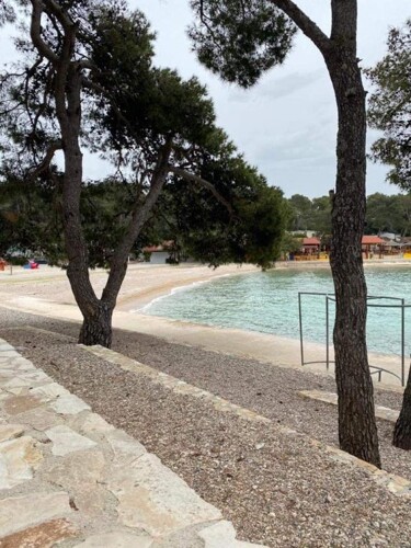 Thumbnail 5381949 - 7