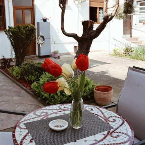 Thumbnail 5382050 - 1