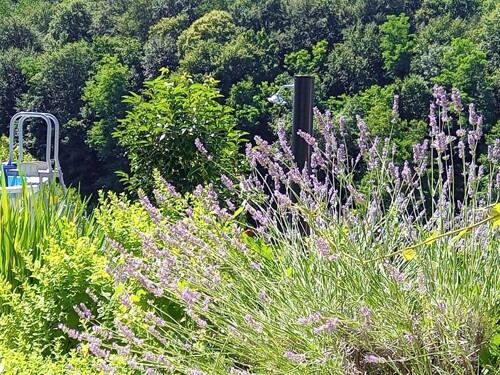 Thumbnail 5382116 - 5