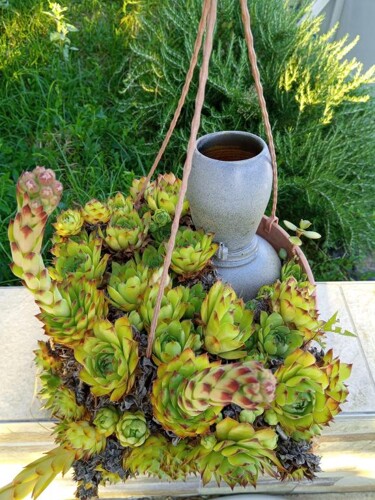 Thumbnail 5382116 - 8