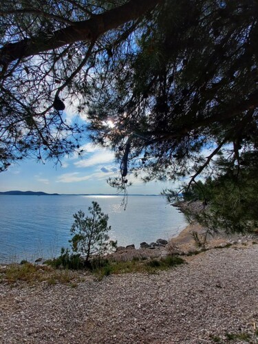 Thumbnail 5382158 - 12