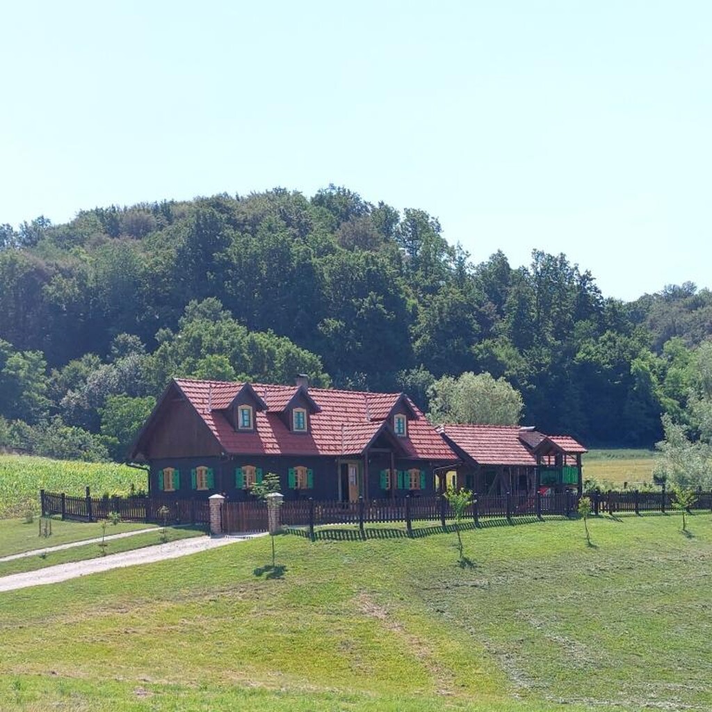 Image 5382225 - 1
