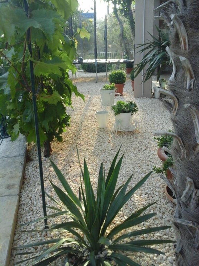 Image 5382230 - 12