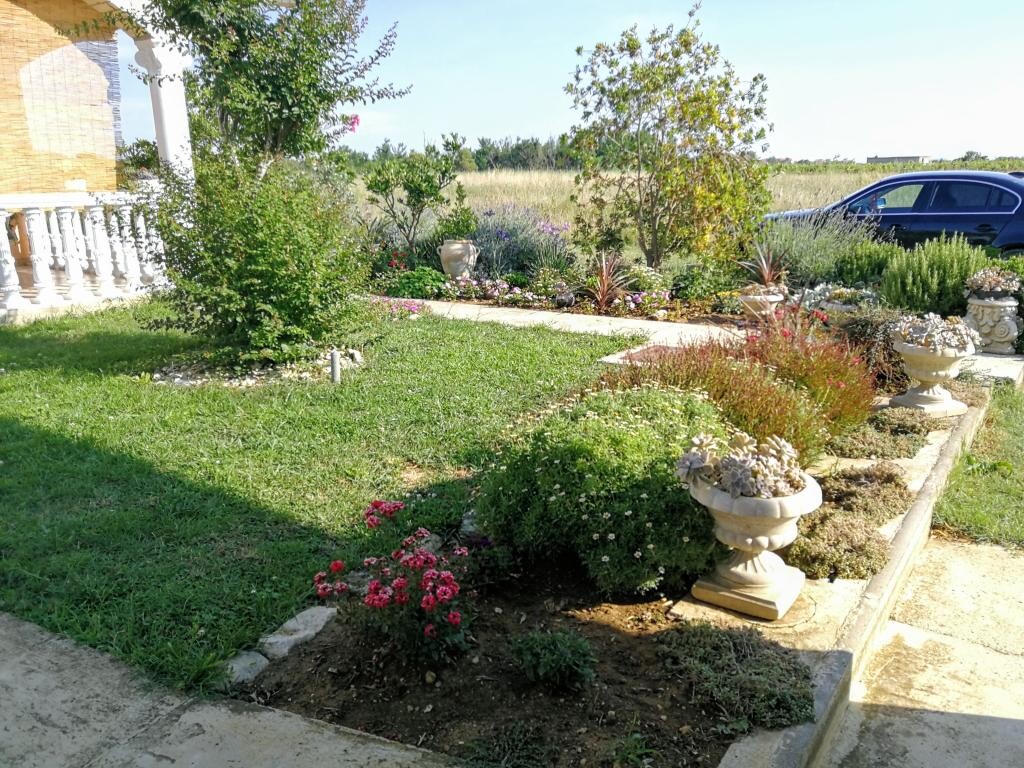 Image 5382264 - 20