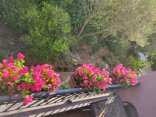 Thumbnail 5382293 - 6