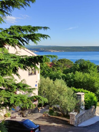 Thumbnail 5382293 - 1