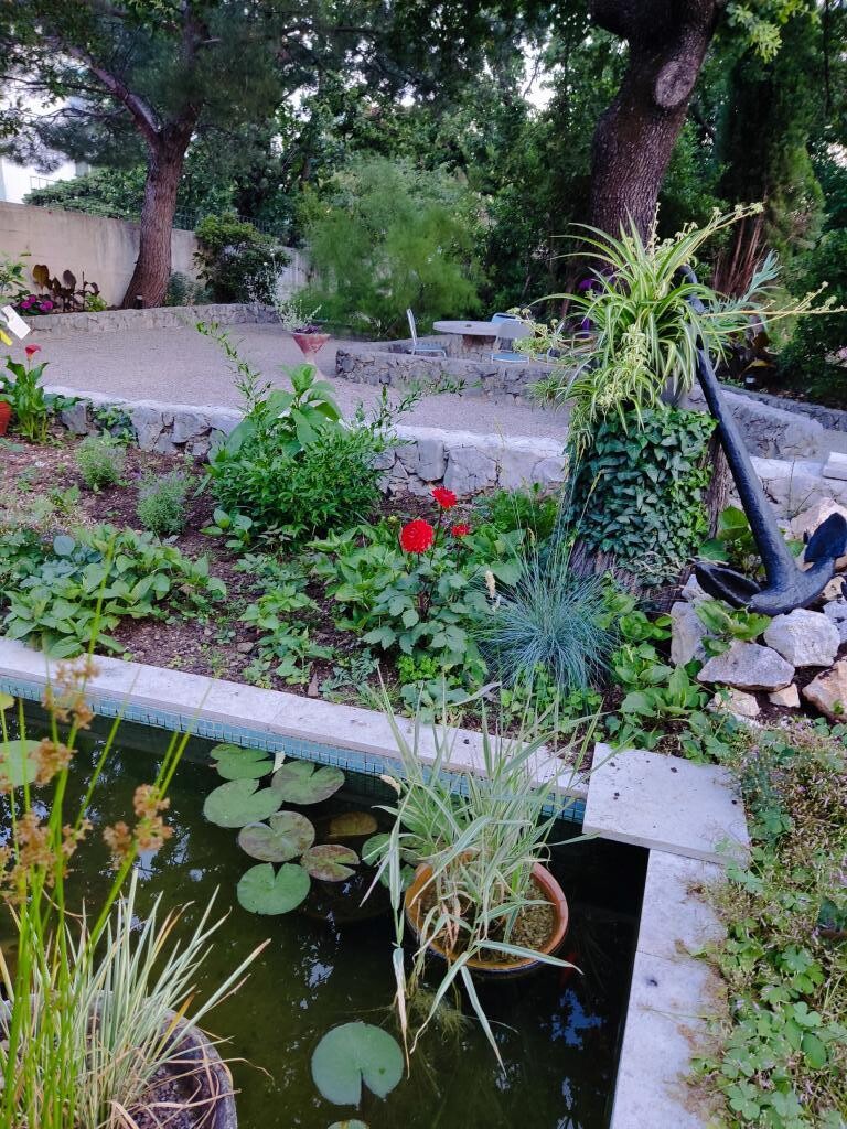 Image 5382334 - 21