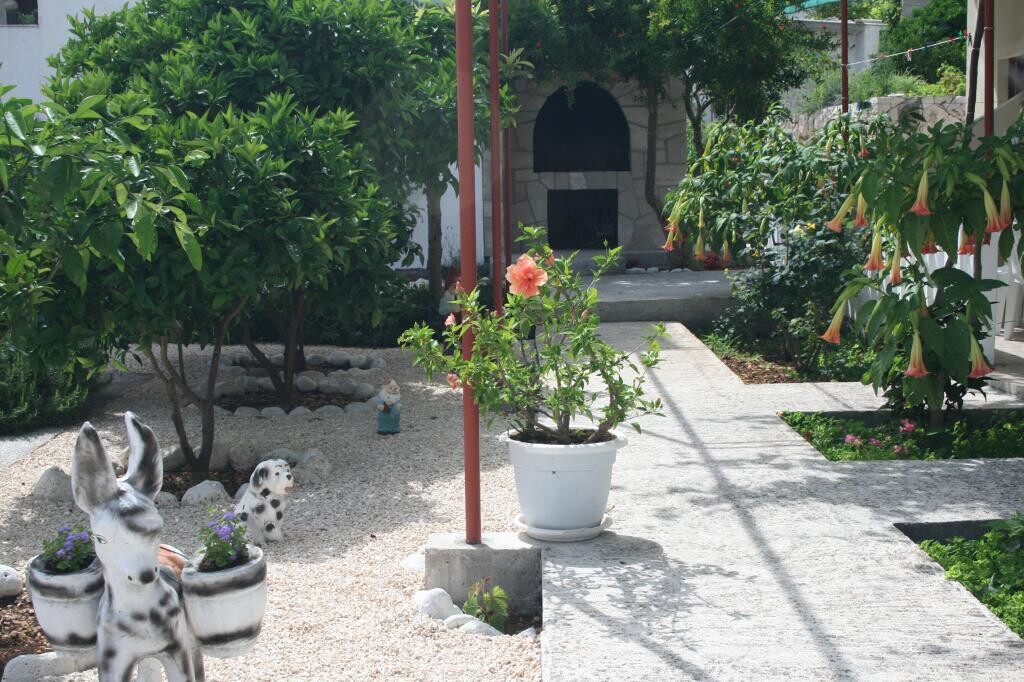 Image 5382384 - 5
