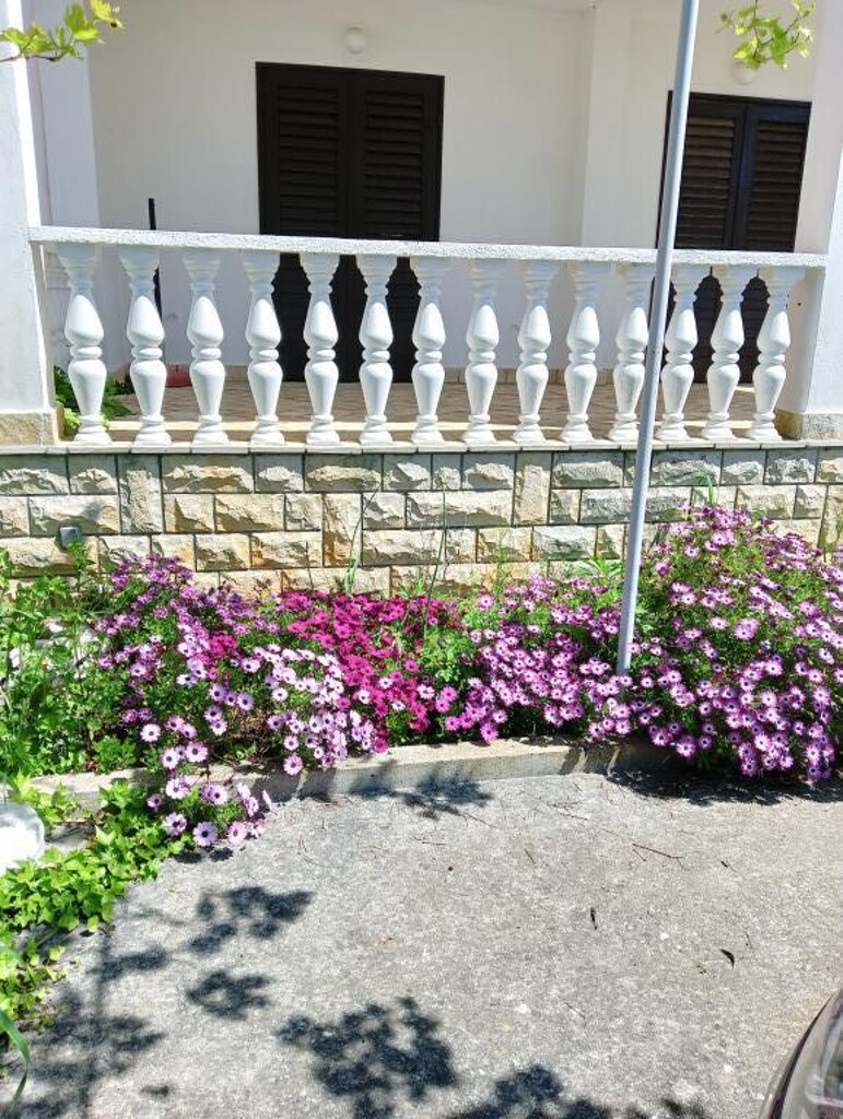 Image 5382417 - 14
