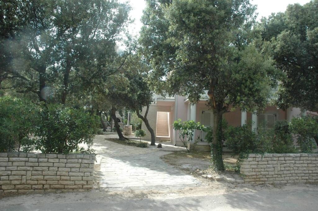 Image 5382421 - 1