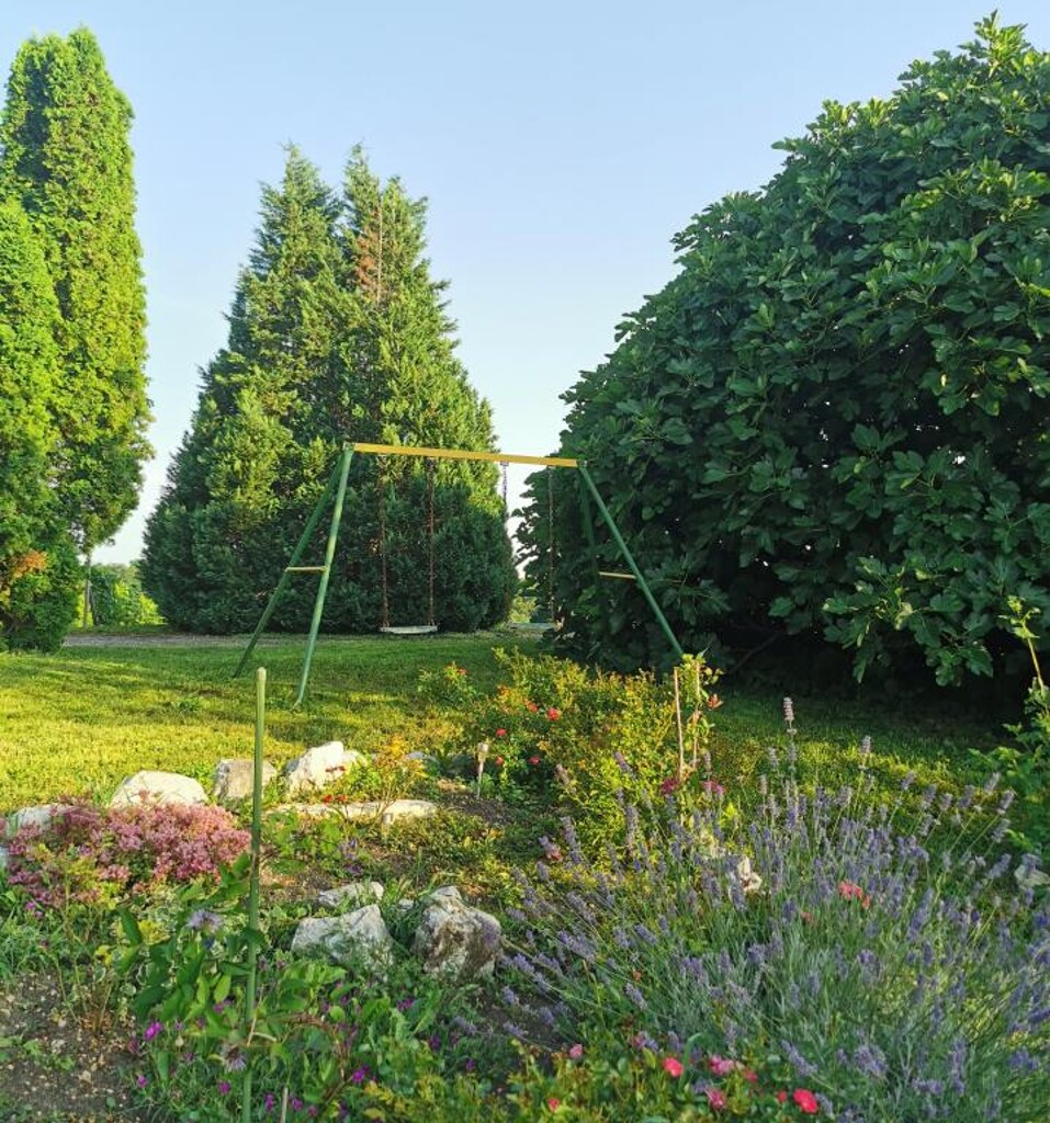 Image 5382488 - 10