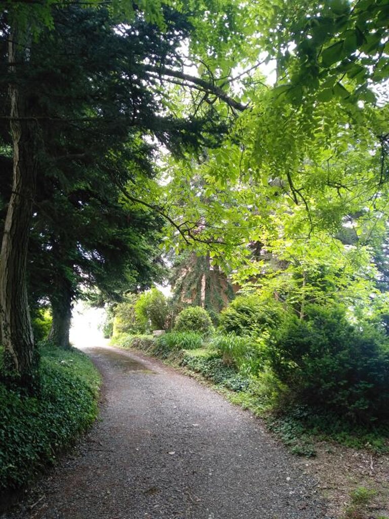 Image 5382488 - 14