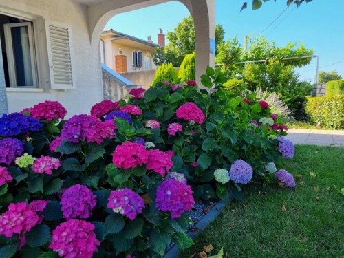 Thumbnail 5382497 - 3