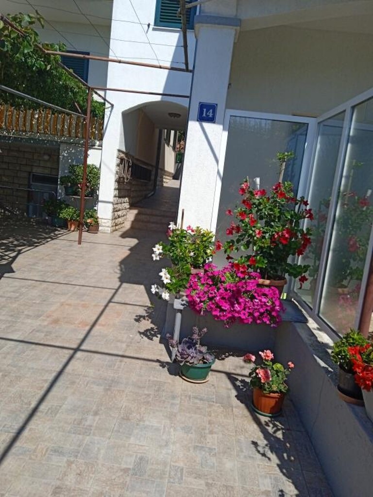 Image 5382542 - 4