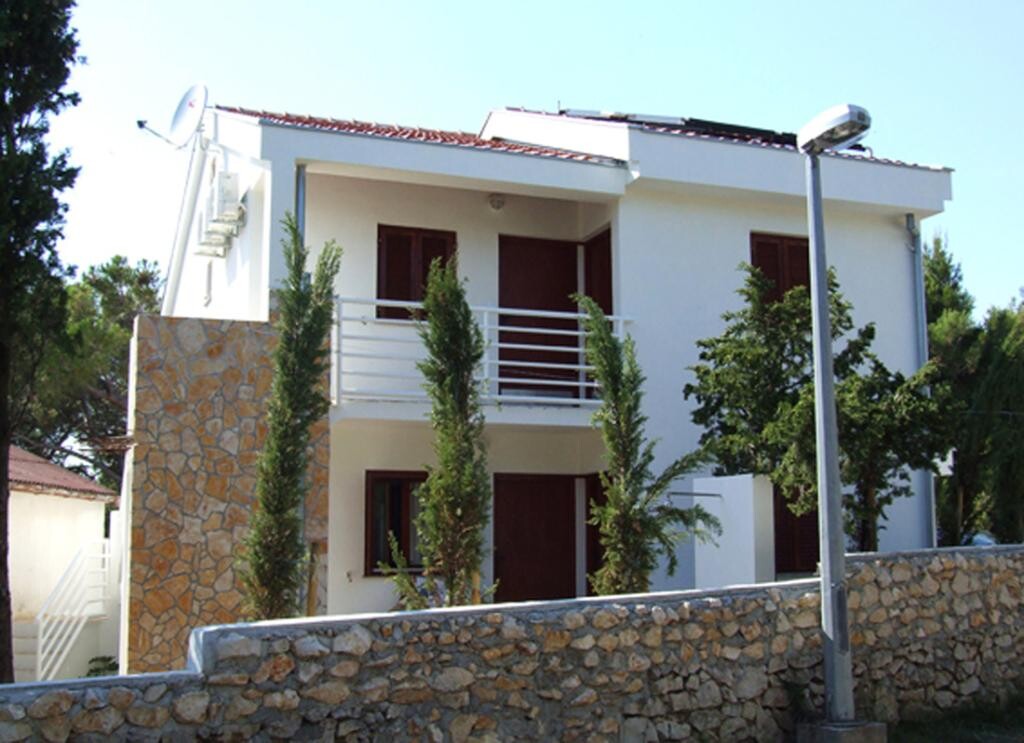 Image 5382569 - 1