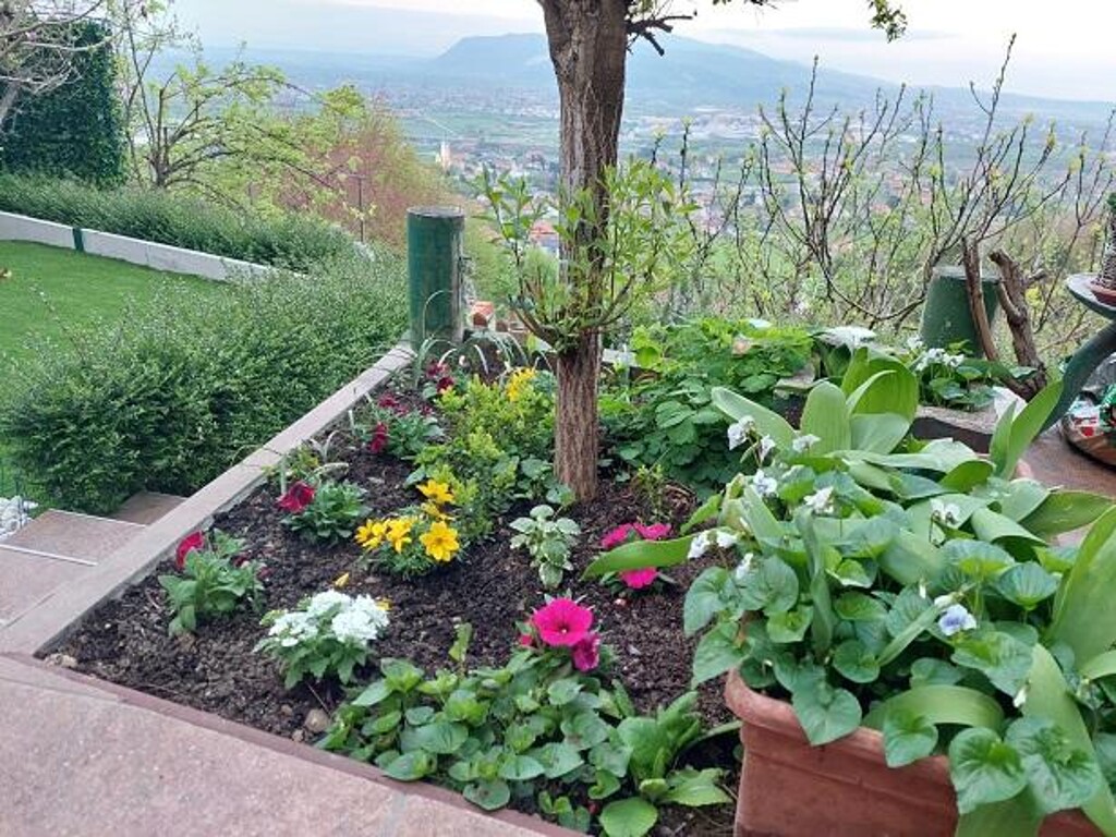 Image 5382618 - 8
