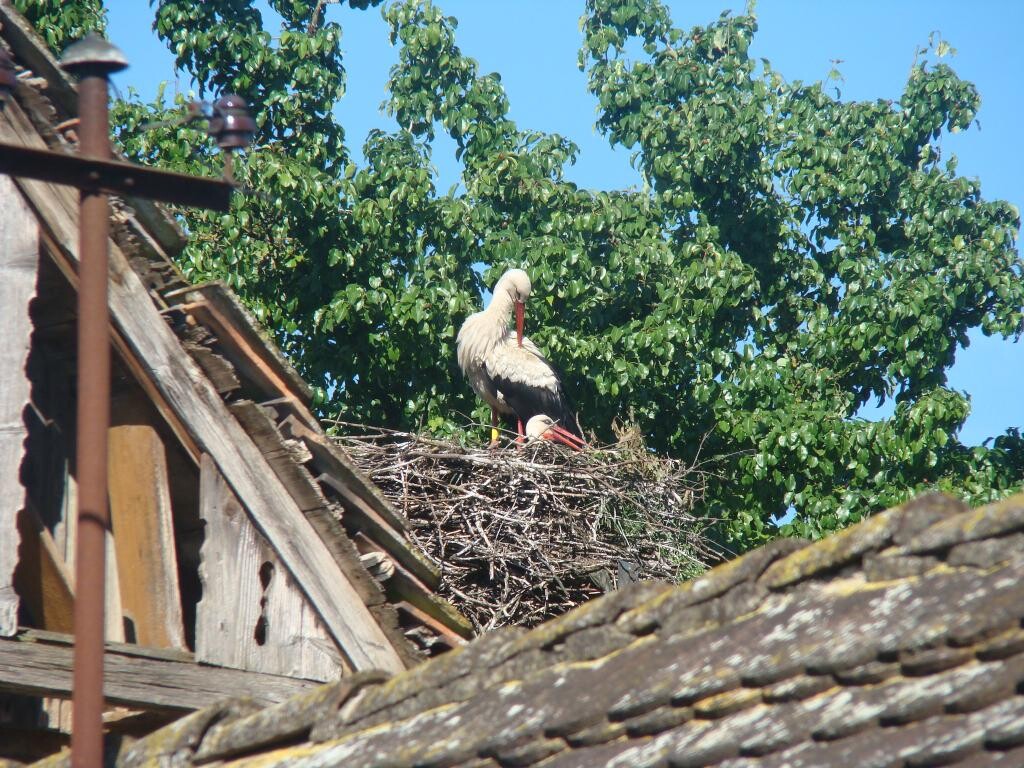 Image 5382652 - 2