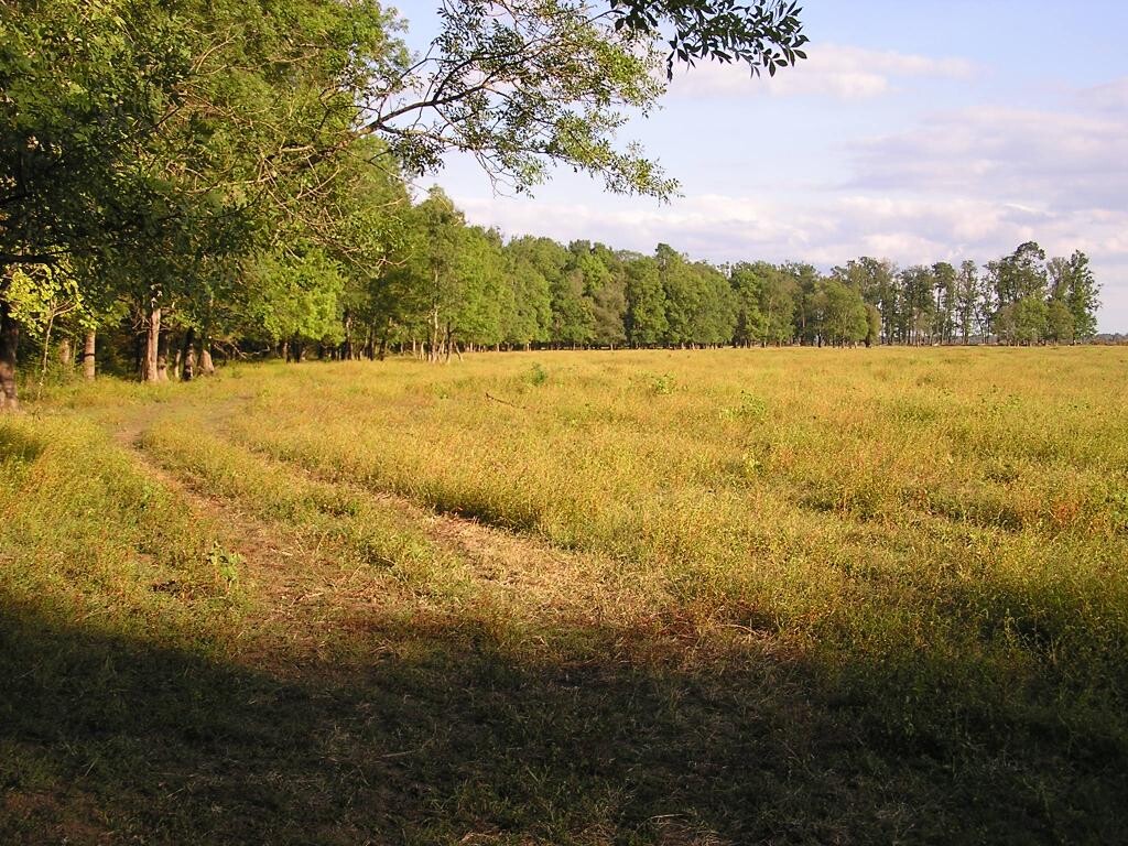 Image 5382652 - 12
