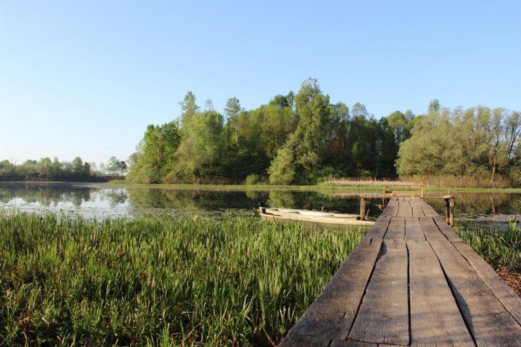 Image 5382652 - 3