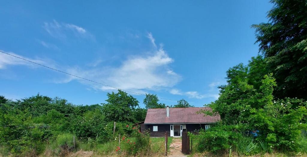 Image 5382653 - 2