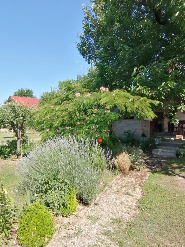 Image 5382664 - 9