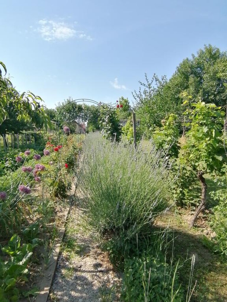 Image 5382664 - 4