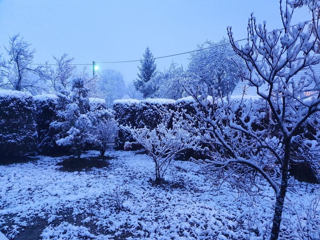 Image 5382680 - 10