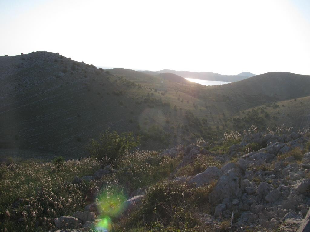 Image 5382683 - 31