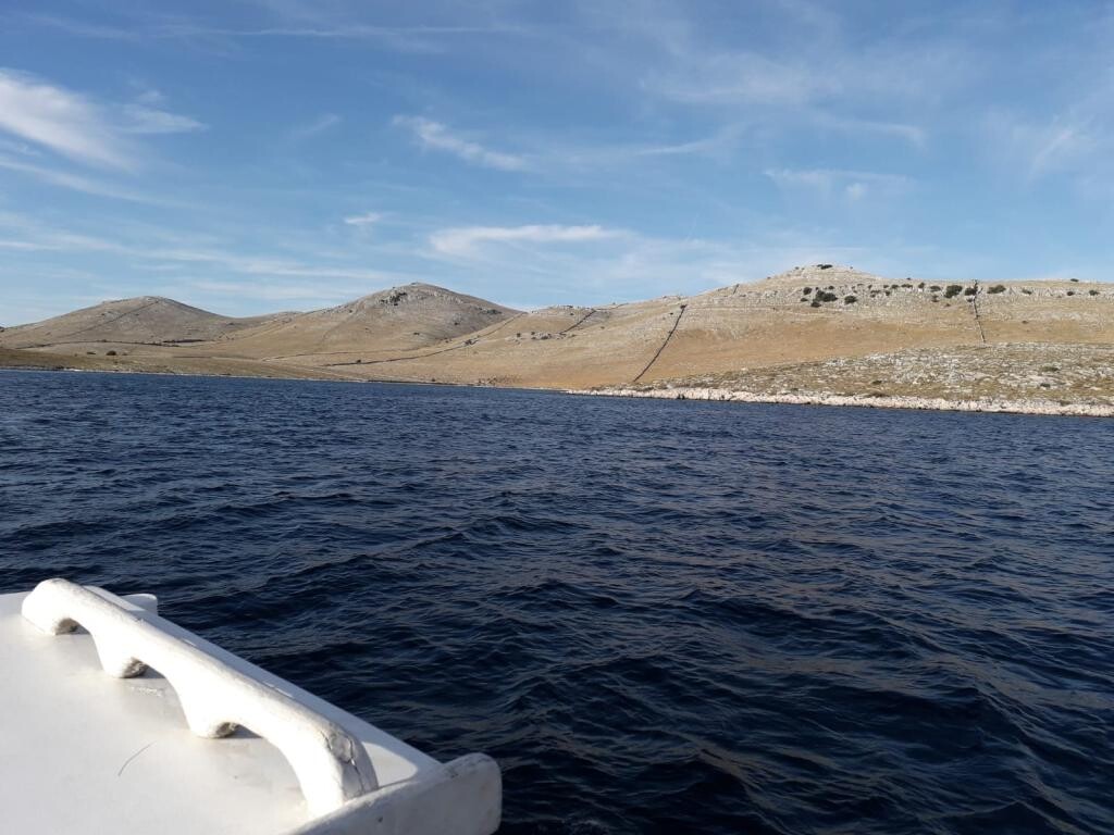 Image 5382683 - 49