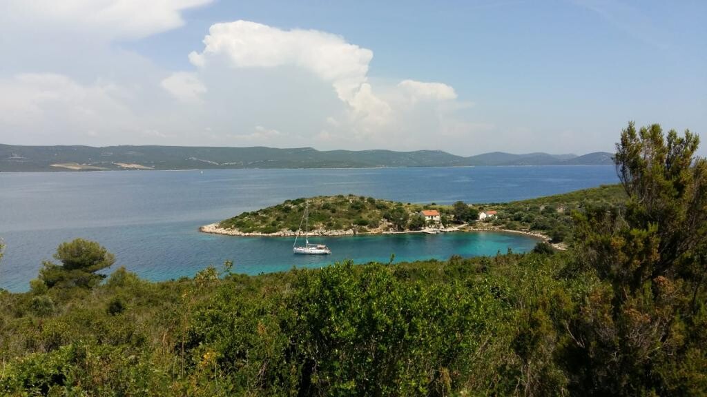 Image 5382686 - 1
