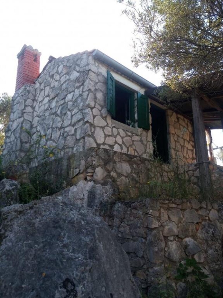 Image 5382687 - 2