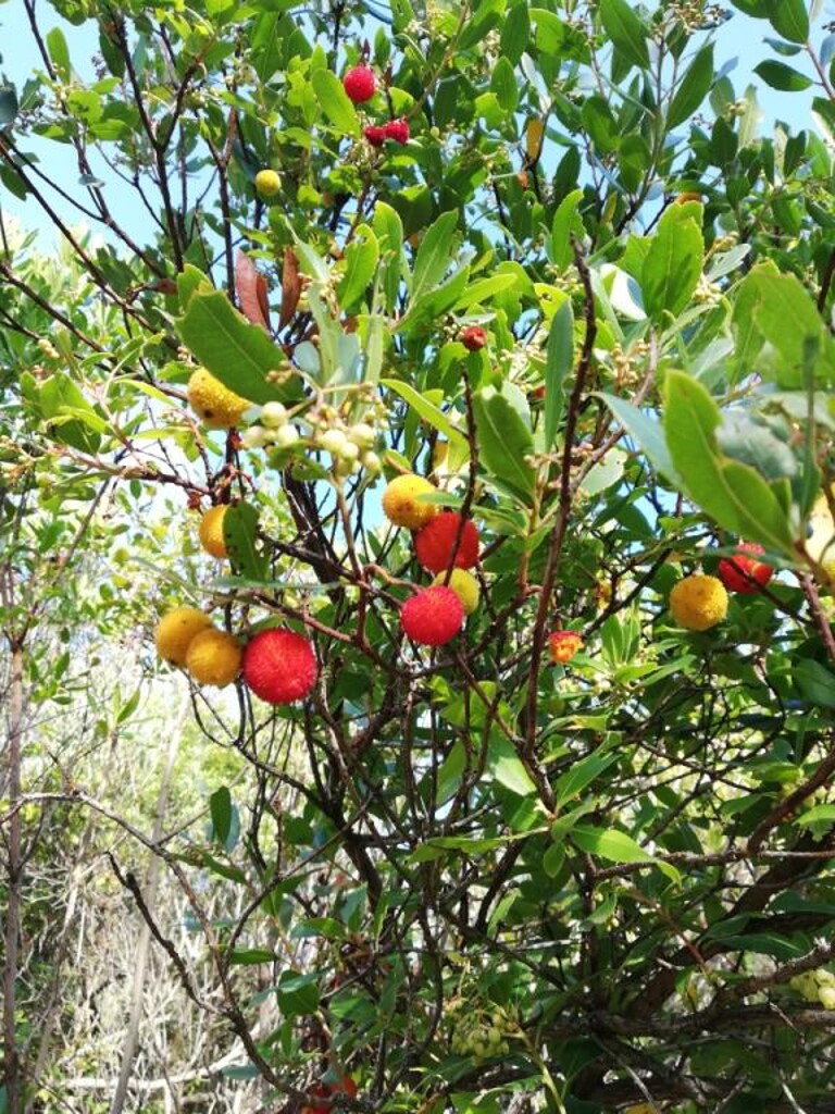 Image 5382690 - 28