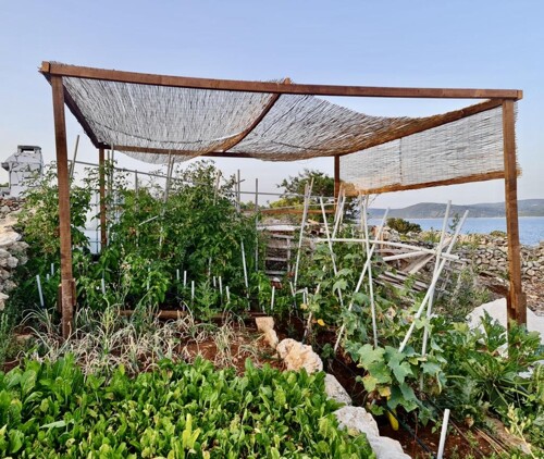 Thumbnail 5382693 - 11